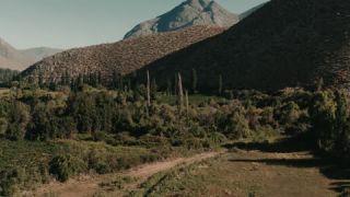 Link to Video