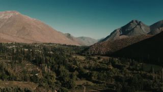 Link to Video