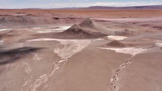 Link to Video