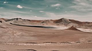Link to Video