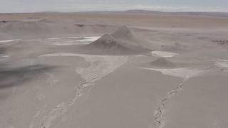 Link to Video