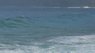 Link to Video