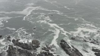 Link to Video