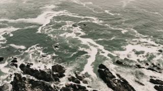Link to Video