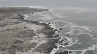 Link to Video
