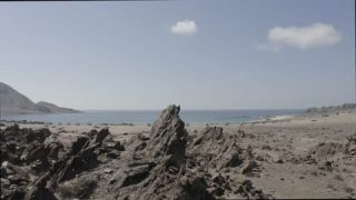 Link to Video