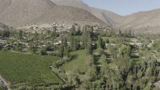Link to Video