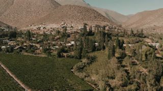 Link to Video