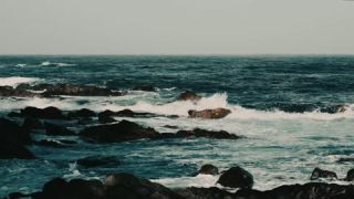 Link to Video