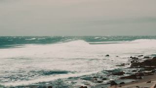 Link to Video