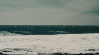 Link to Video