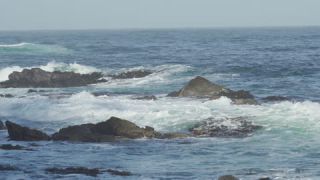 Link to Video