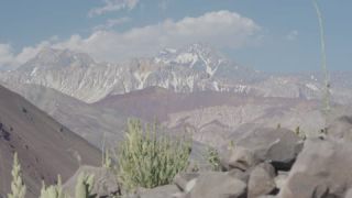 Link to Video
