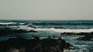 Link to Video