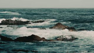 Link to Video