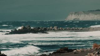 Link to Video