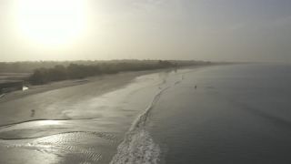 Link to Video