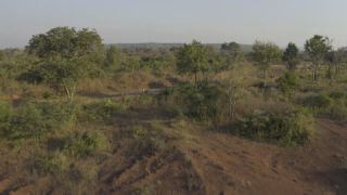 Link to Video