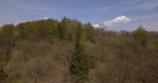 Link zum Video