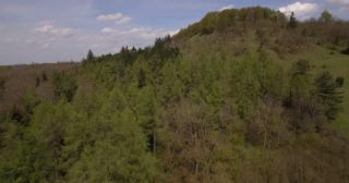 Link zum Video