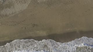 Link to Video