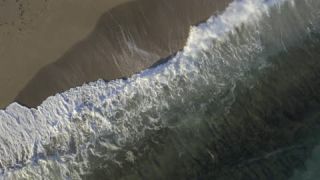 Link to Video