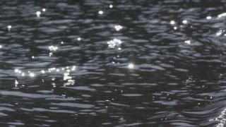 Link to Video