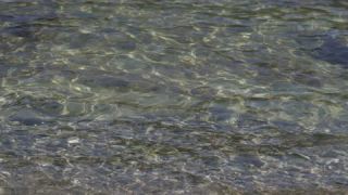 Link zum Video