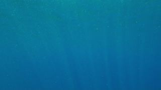 Link to Video