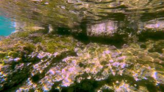 Link to Video