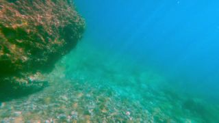 Link to Video