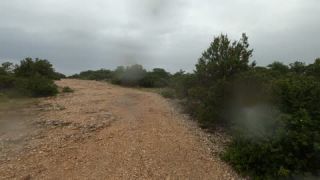 Link to Video