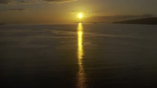 Link to Video
