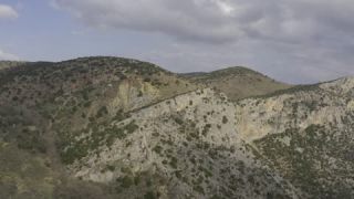 Link to Video