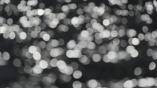 Link to Video