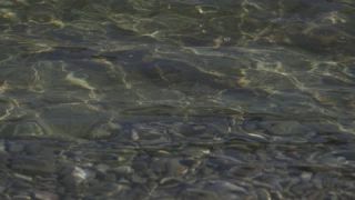 Link zum Video