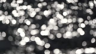 Link to Video