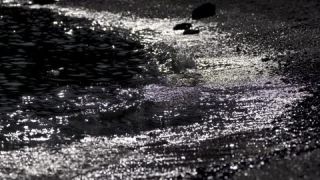 Link to Video