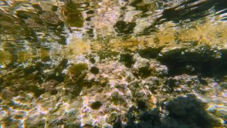 Link to Video