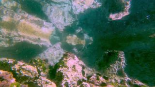 Link to Video