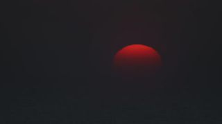 Link to Video