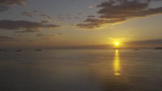 Link to Video