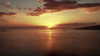 Link to Video