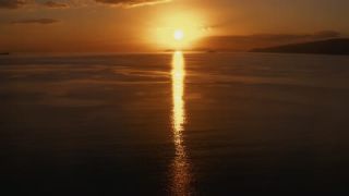 Link to Video