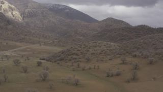 Link to Video