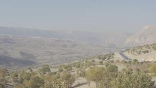 Link to Video