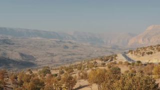 Link to Video
