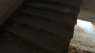 Link to Video