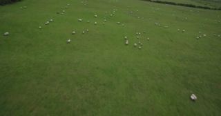 Link to Video