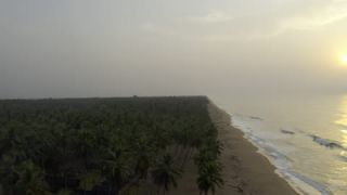 Link to Video